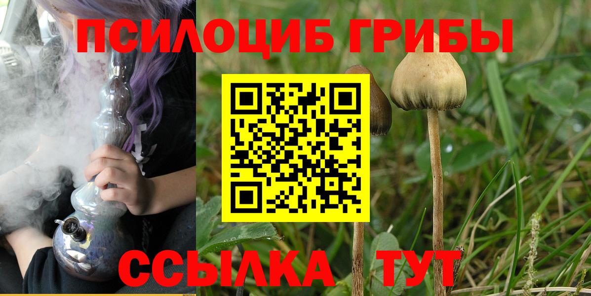 Кунгур  продажа наркотиков  Вход с VPN  Псилоцибиновые грибы Psilocybine cubensis 